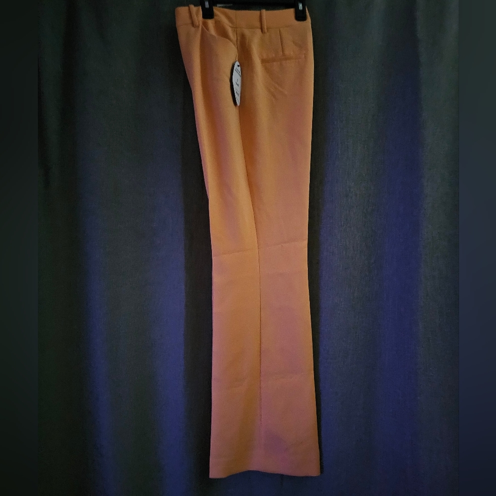 Tall High Waisted Trousers Crease Front Size Medium 8-10 Color Pumpkin New - Picture 13 of 14